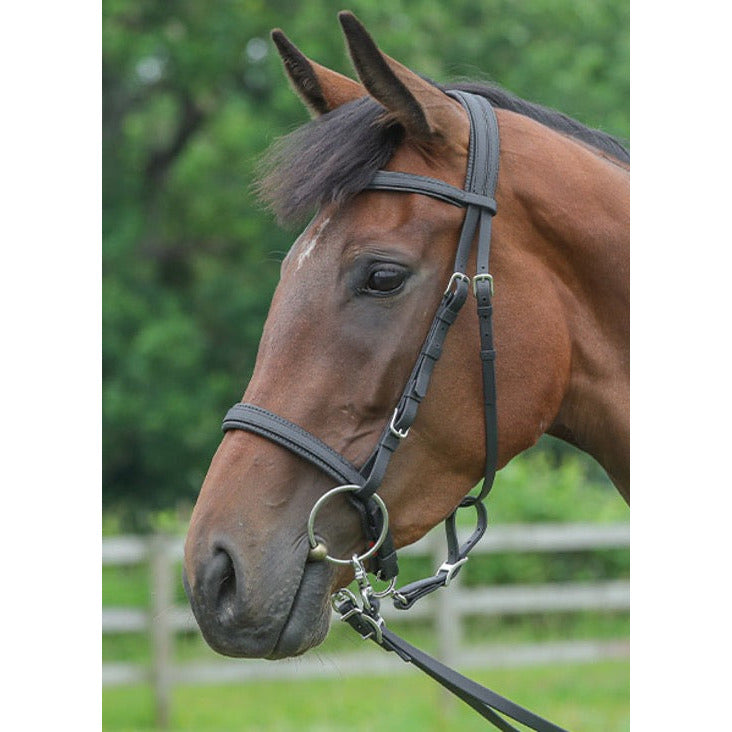 ZILCO BRIDLES & STRAPPING Zilco 3 In 1 Bitless Bridle