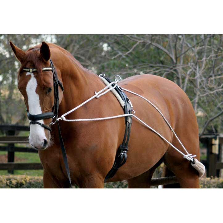 ZILCO BRIDLES & STRAPPING Zilco Lunge Training System