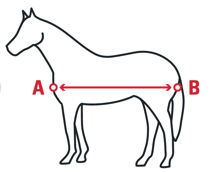 How to measure and fit your new horse rug