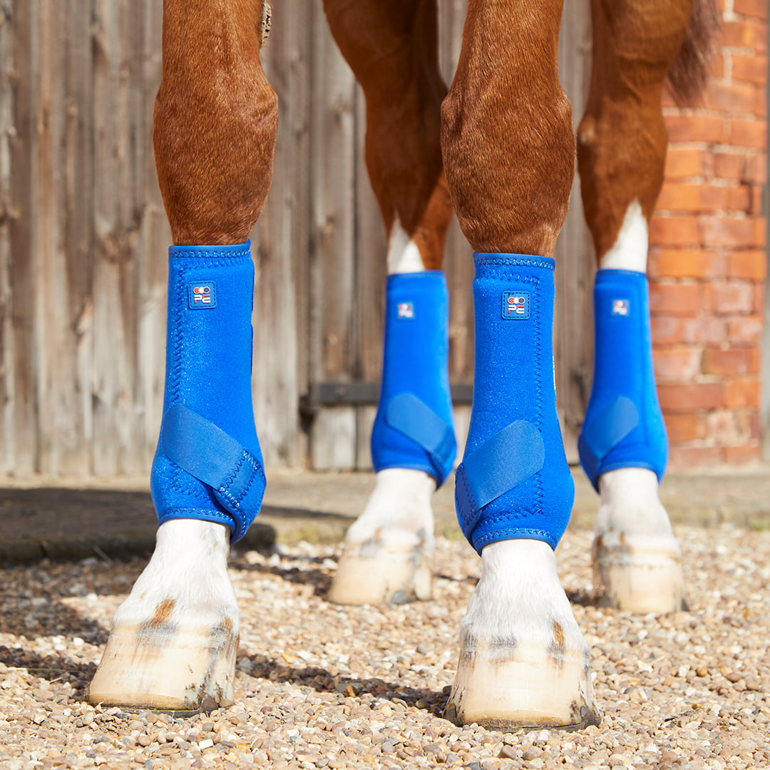 Premier Equine