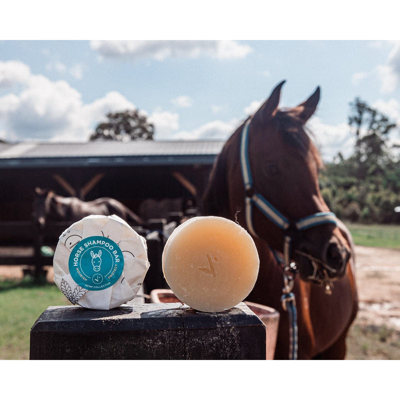 Hemp Horse Shampoo Bar