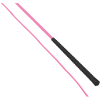 AINTREE ACCESSORIES 160CM / PINK Neon Lunging Whip