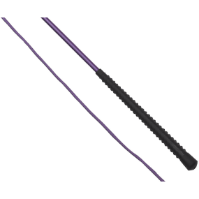 AINTREE ACCESSORIES 160CM / PURPLE Neon Lunging Whip