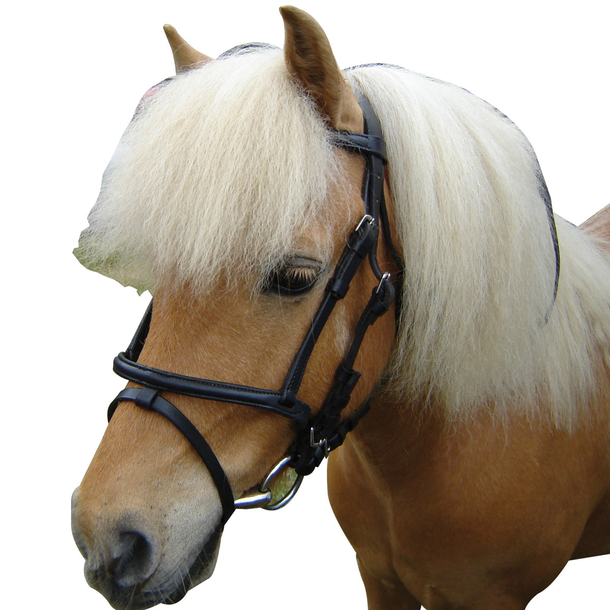 EUREKA BRIDLES & STRAPPING BLACK / MINIATURE Miniature Bridle