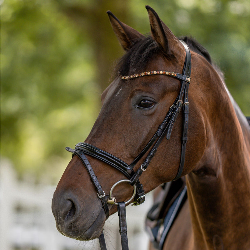 HERM SPRENGER BITS & ACCESSORIES Sprenger Dynamic Rs Loose Ring Double Jointed Snaffle Bit