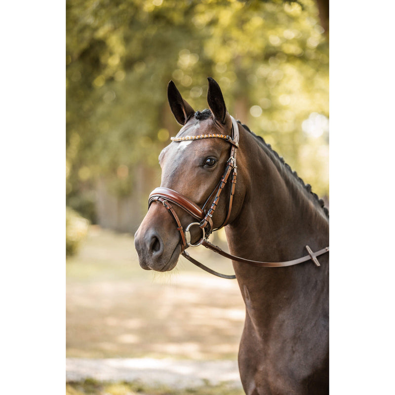 HORZE BRIDLES & STRAPPING Horze Kansas Bridle