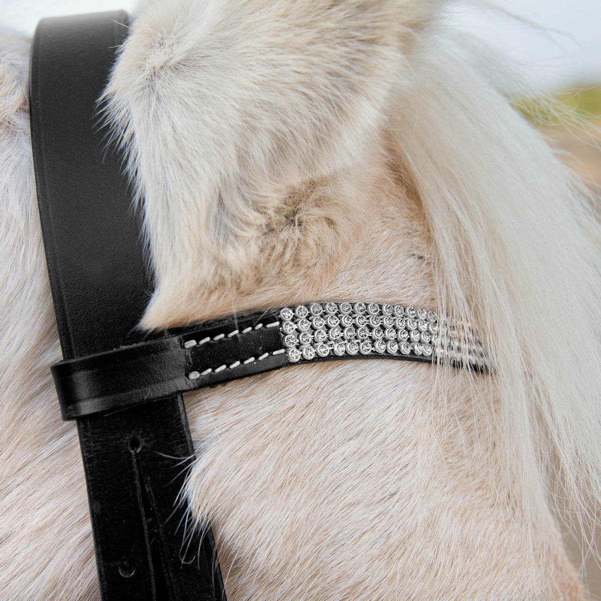 HORZE BRIDLES & STRAPPING Horze Pony Bridle