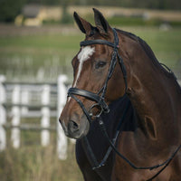 HORZE BRIDLES & STRAPPING Horze Venice Bridle