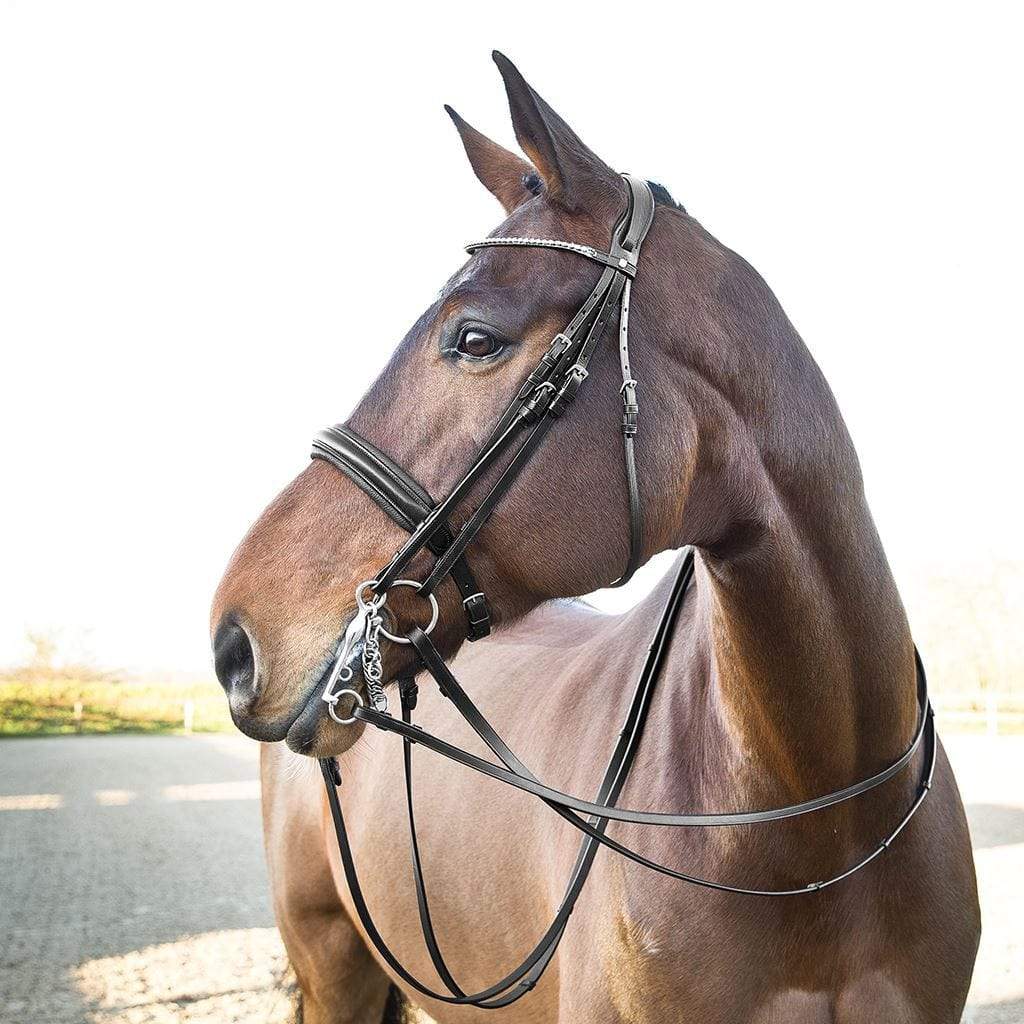 HORZE BRIDLES & STRAPPING Horze Vienna Weymouth Bridle