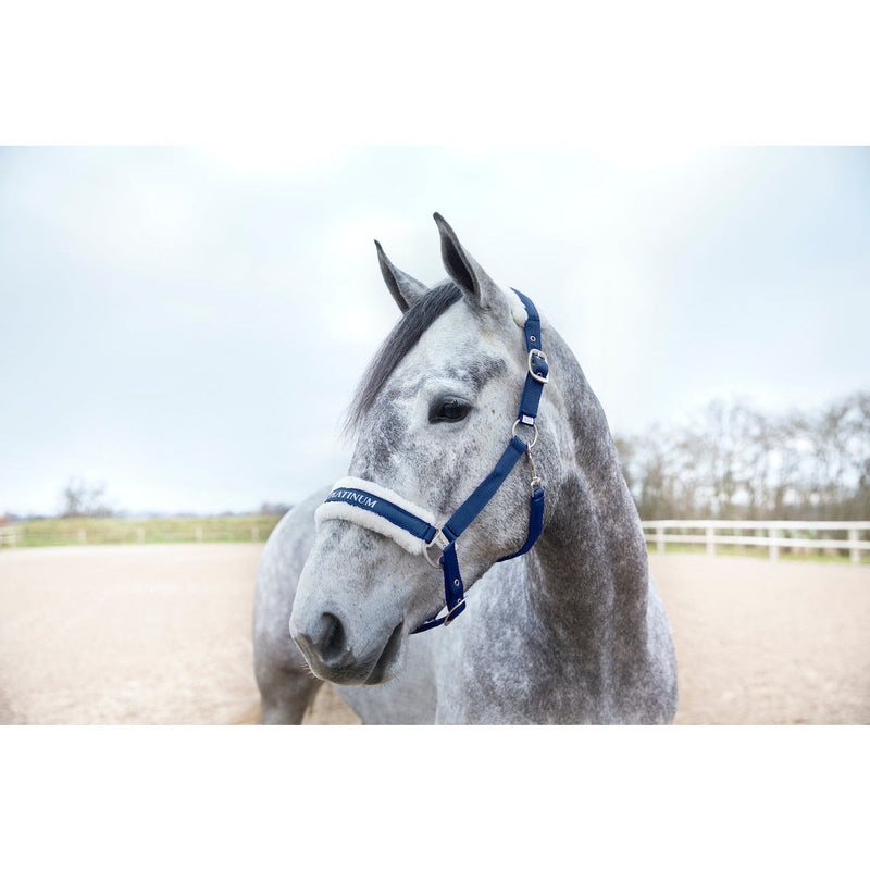 HORZE HALTERS & LEADS Horze Howard Halter