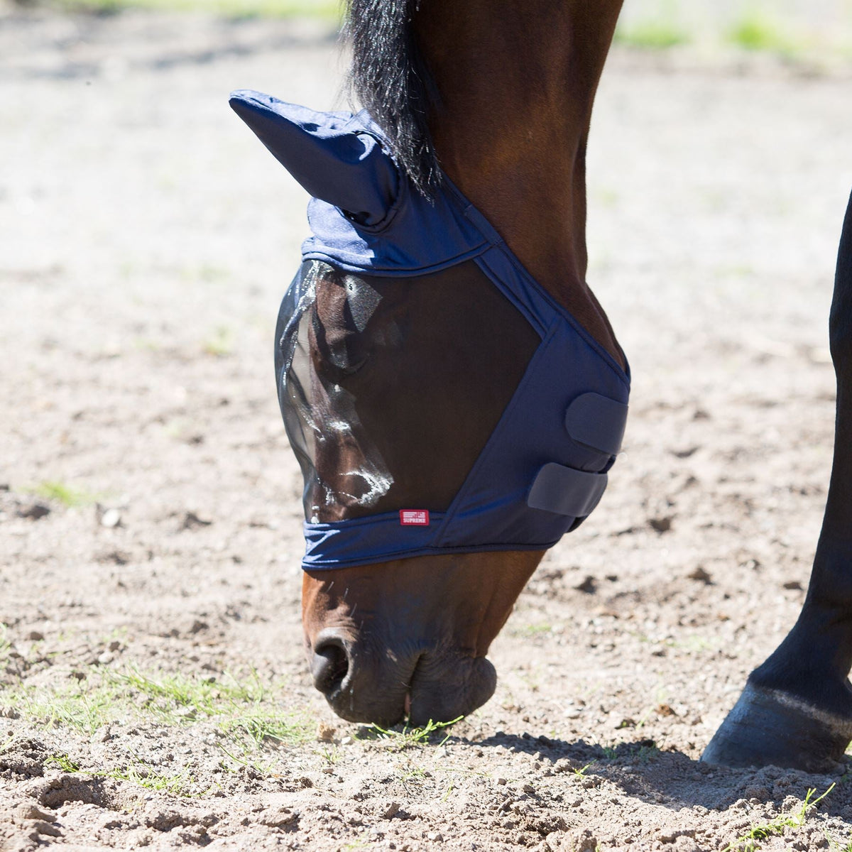 HORZE RUGS & ACCESSORIES Horze Supreme Cayman Fly Mask