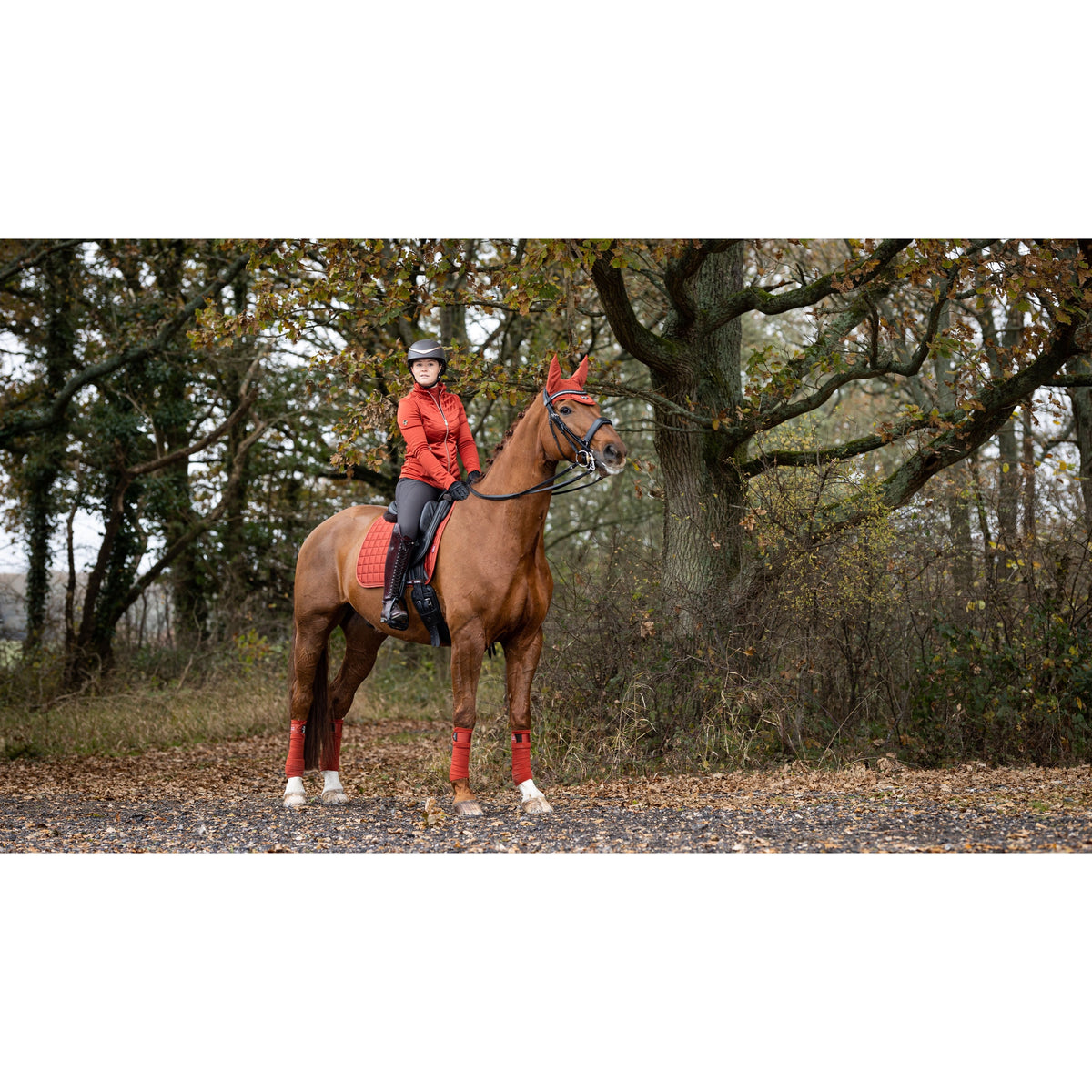 LEMIEUX SADDLEPADS & NUMNAHS LeMieux Classic Loire Dressage Saddle Pad in Sienna