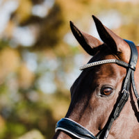 LUMIERE BRIDLES & STRAPPING Lumiere Adeline Cavesson Bridle