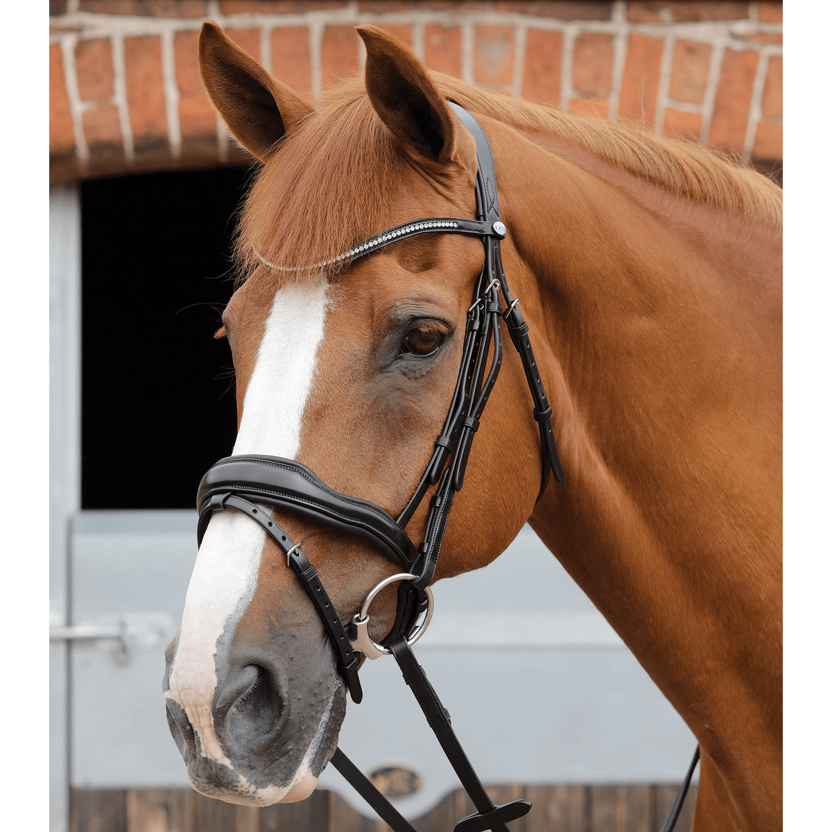 PREMIER EQUINE BRIDLES & STRAPPING Pei Stellazio Anatomic Snaffle Bridle