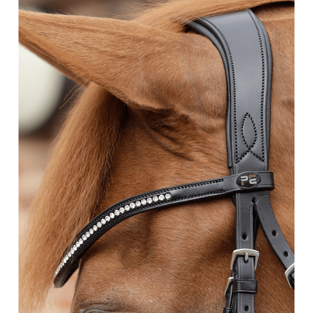 PREMIER EQUINE BRIDLES & STRAPPING Pei Stellazio Anatomic Snaffle Bridle