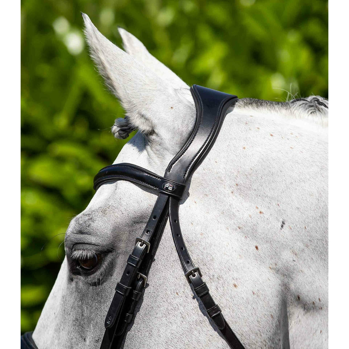 PREMIER EQUINE BRIDLES & STRAPPING Pei Verdura Anatomic Snaffle Bridle