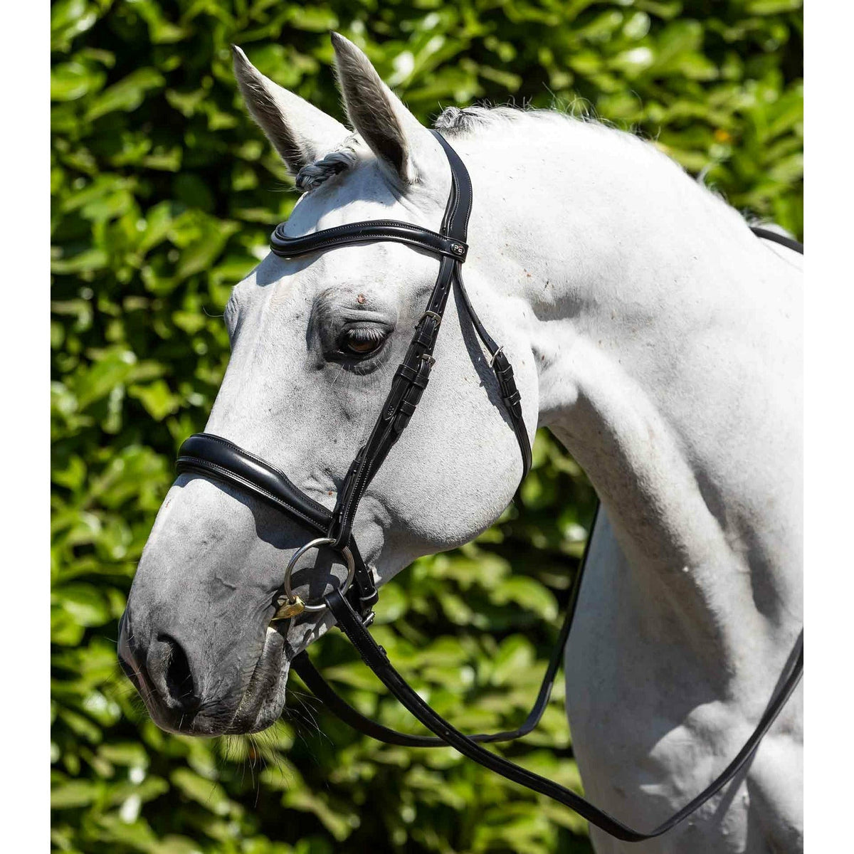 PREMIER EQUINE BRIDLES & STRAPPING Pei Verdura Anatomic Snaffle Bridle