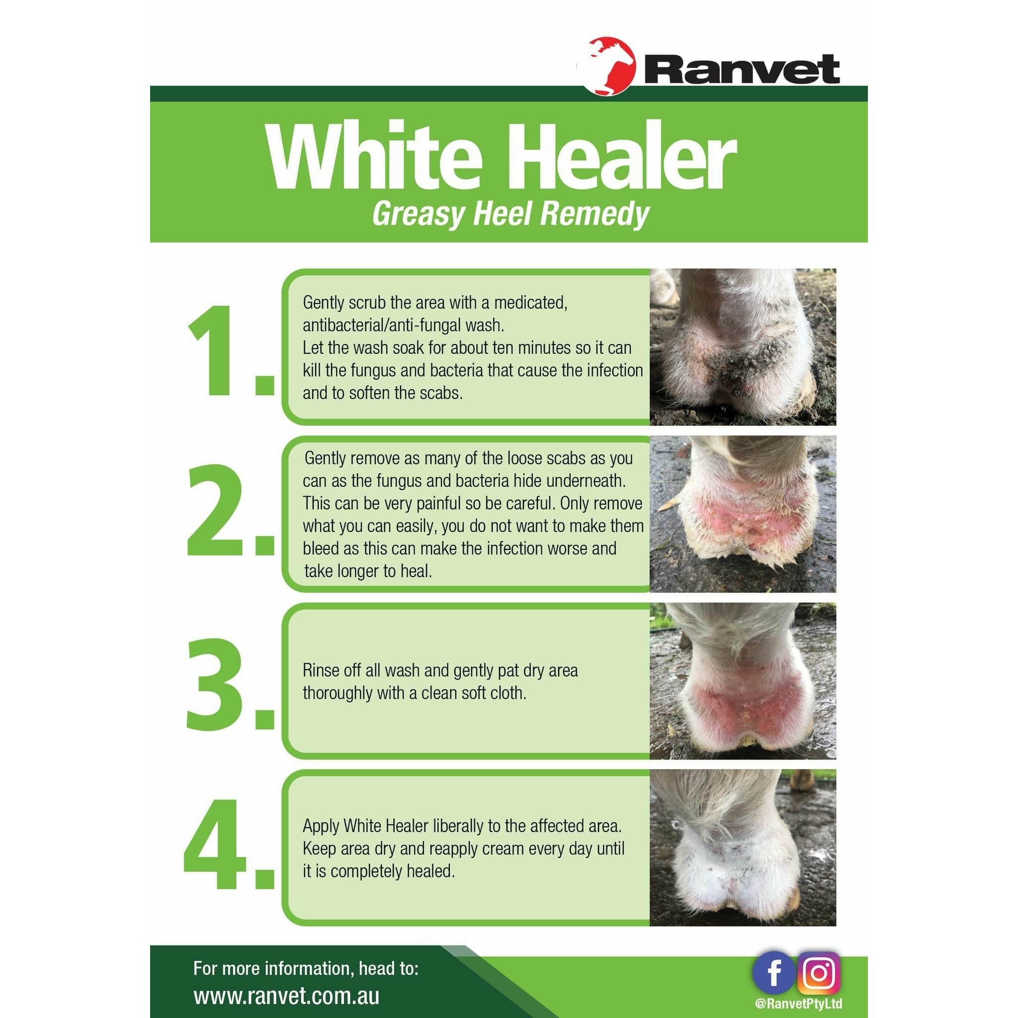 RANVET Ranvet White Healer