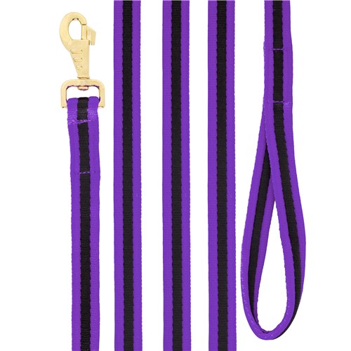 SHOWMASTER BRIDLES & STRAPPING PURPLE/BLACK Soft Tubular Web Lunge Lead