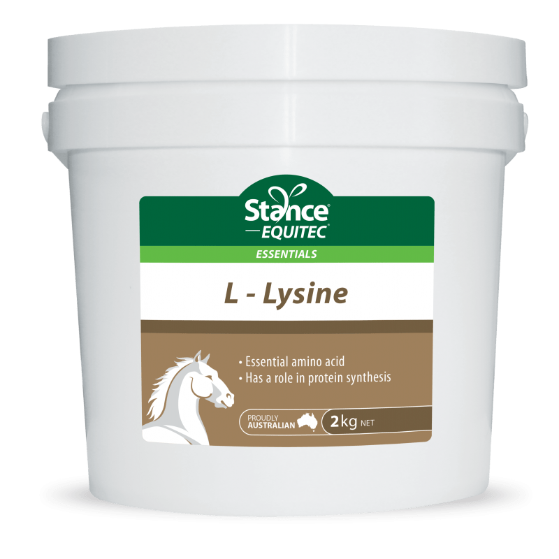 STANCE FEED SUPPLEMENTS 2KG Equitec L-Lysine