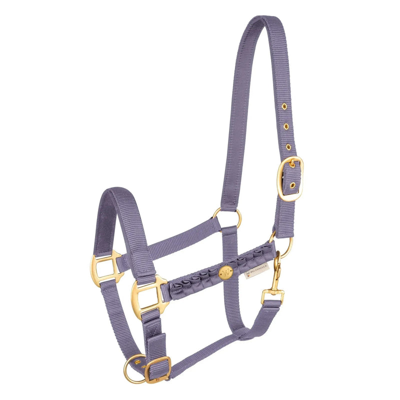 WALDHAUSEN HALTERS & LEADS COB / LAVENDER Waldhausen Florence Halter