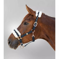 WALDHAUSEN HALTERS & LEADS Modern Rose Rose Gold Halter