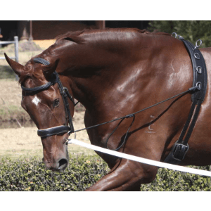 ZILCO BRIDLES & STRAPPING All Elastic Chambon Neck Stretcher