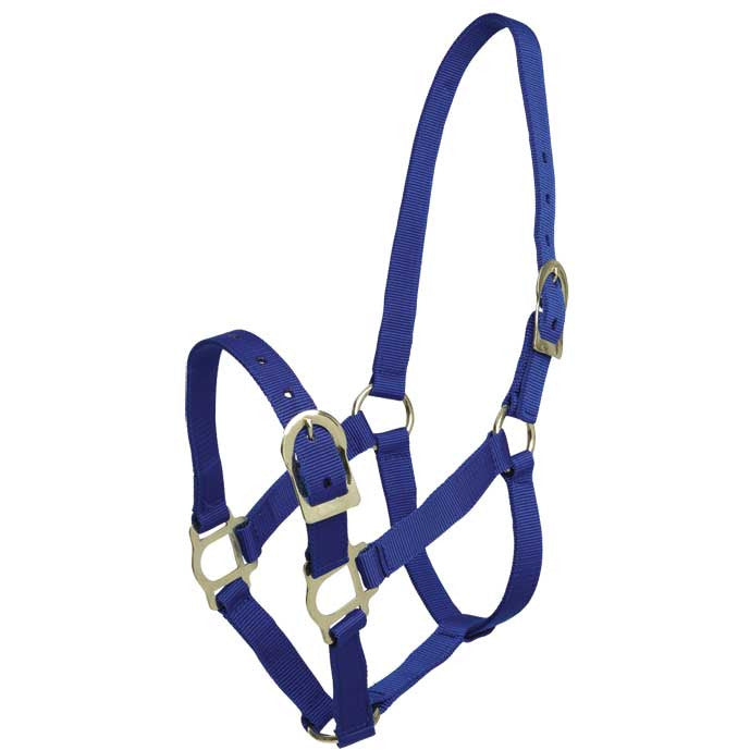 ZILCO HALTERS & LEADS SHETLAND / BLUE Zilco Pp Halter