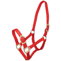 ZILCO HALTERS & LEADS SHETLAND / RED Zilco Pp Halter