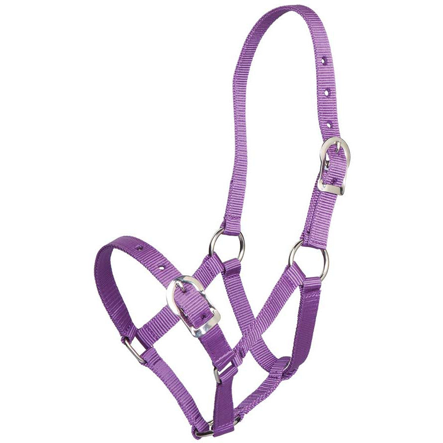 ZILCO HALTERS & LEADS SPONY / PURPLE Zilco Small Pony Halter