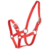 ZILCO HALTERS & LEADS SPONY / RED Zilco Small Pony Halter