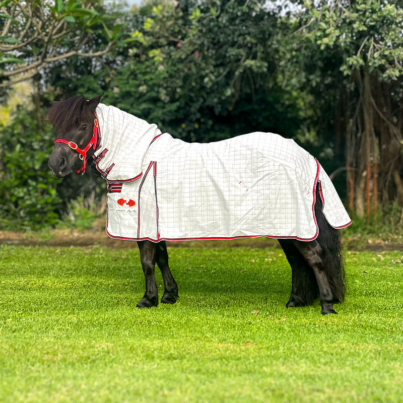 ZILCO RUGS & ACCESSORIES Zilco Econostop Miniature Horse Combo